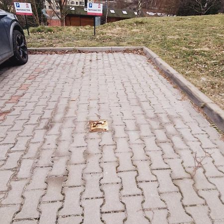 Apartament Everest Z Prywatna Sauna - 5D Apartamenty Świeradów-Zdrój Dış mekan fotoğraf